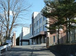 学生時代に大阪へ転校した背景とその理由とは