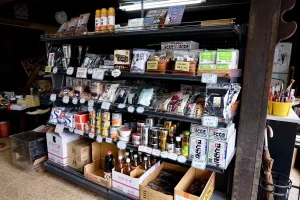 田口あすかと噂される背景にある実家・家族構成
