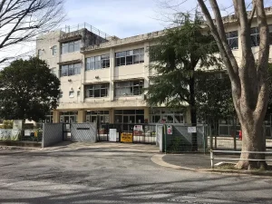 臼田あさ美の学歴まとめ