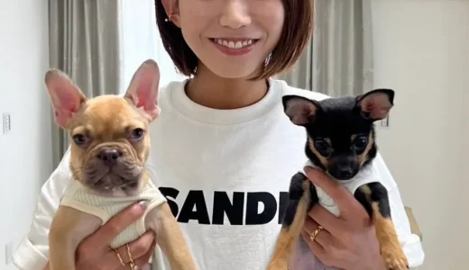 古賀紗理那の父親・古賀裕正の仕事は会社員？転勤や年収まで