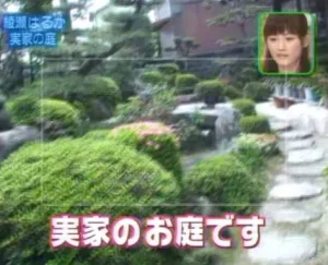 実家は広島の金持ち農家で広島菜の生産地