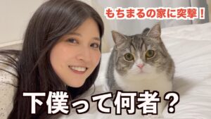 飼い主に結婚相手はいる？八田エミリとのコラボで浮上した噂